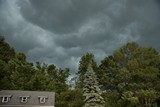 Outdoor Photography