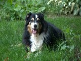 My Pretty Girl