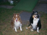 The Girls