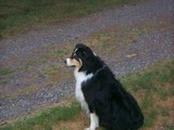 My Protector